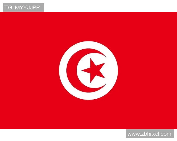 中国与突尼斯激战全场精彩集锦回顾与分析