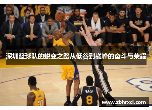 深圳篮球队的蜕变之路从低谷到巅峰的奋斗与荣耀